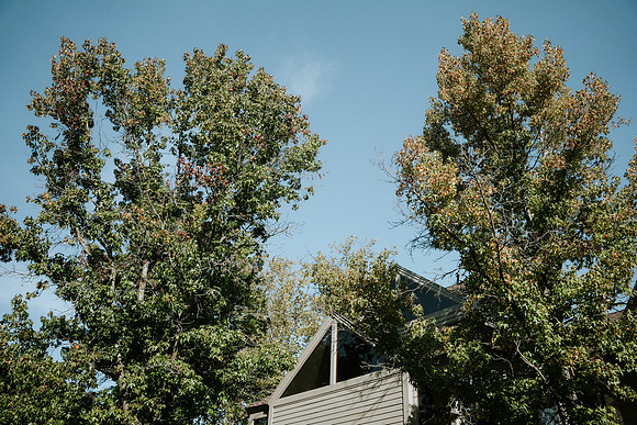 NGH00441